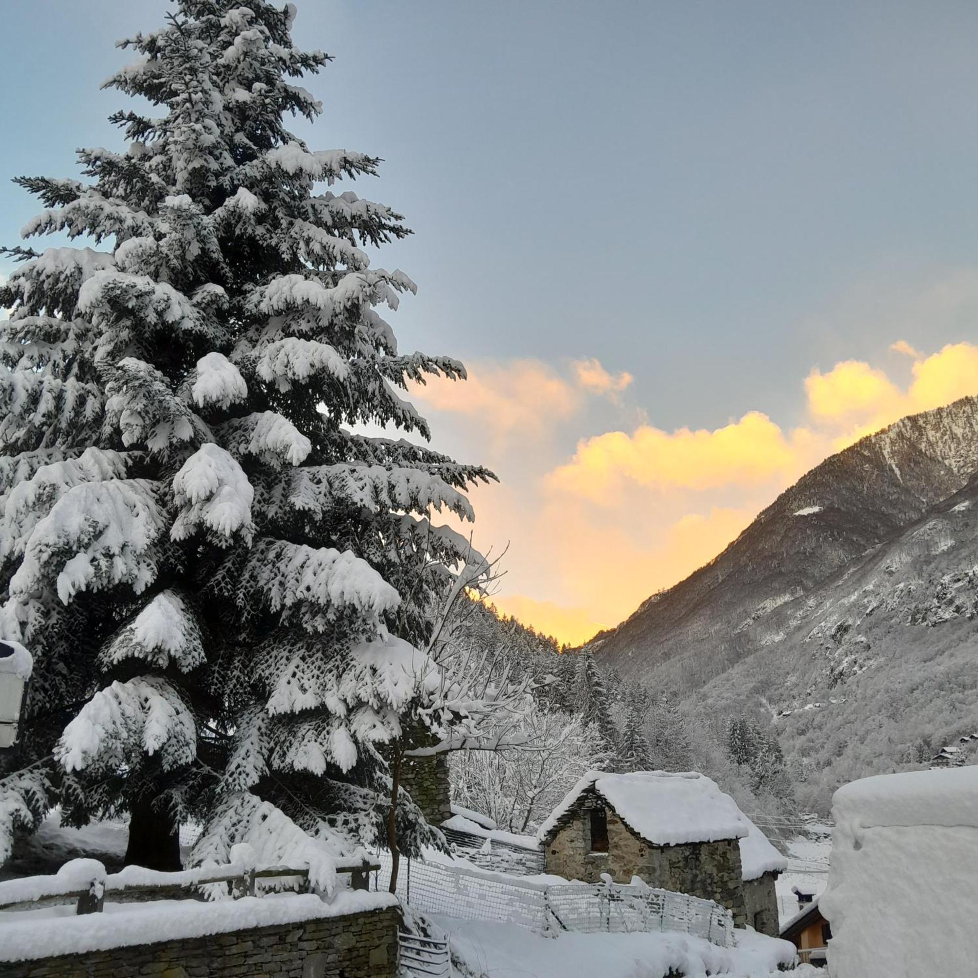 Casa All'Alpe Anzino Exterior photo
